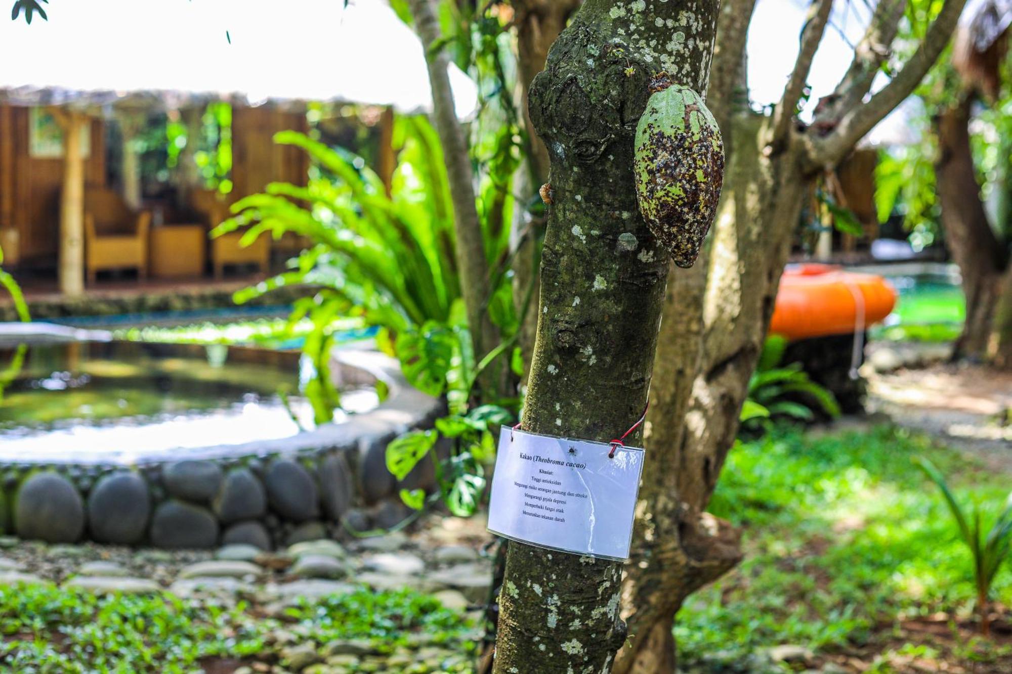 Hotel Omunity Bali à Singaraja Extérieur photo