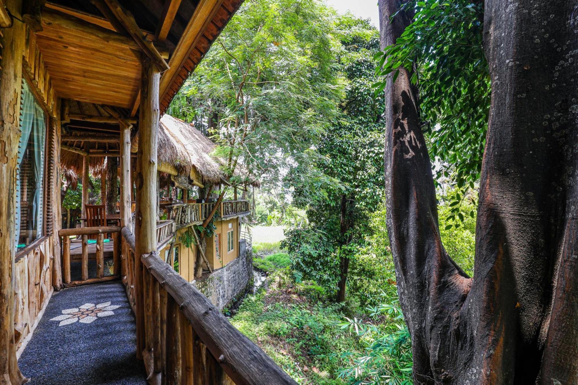Hotel Omunity Bali à Singaraja Extérieur photo