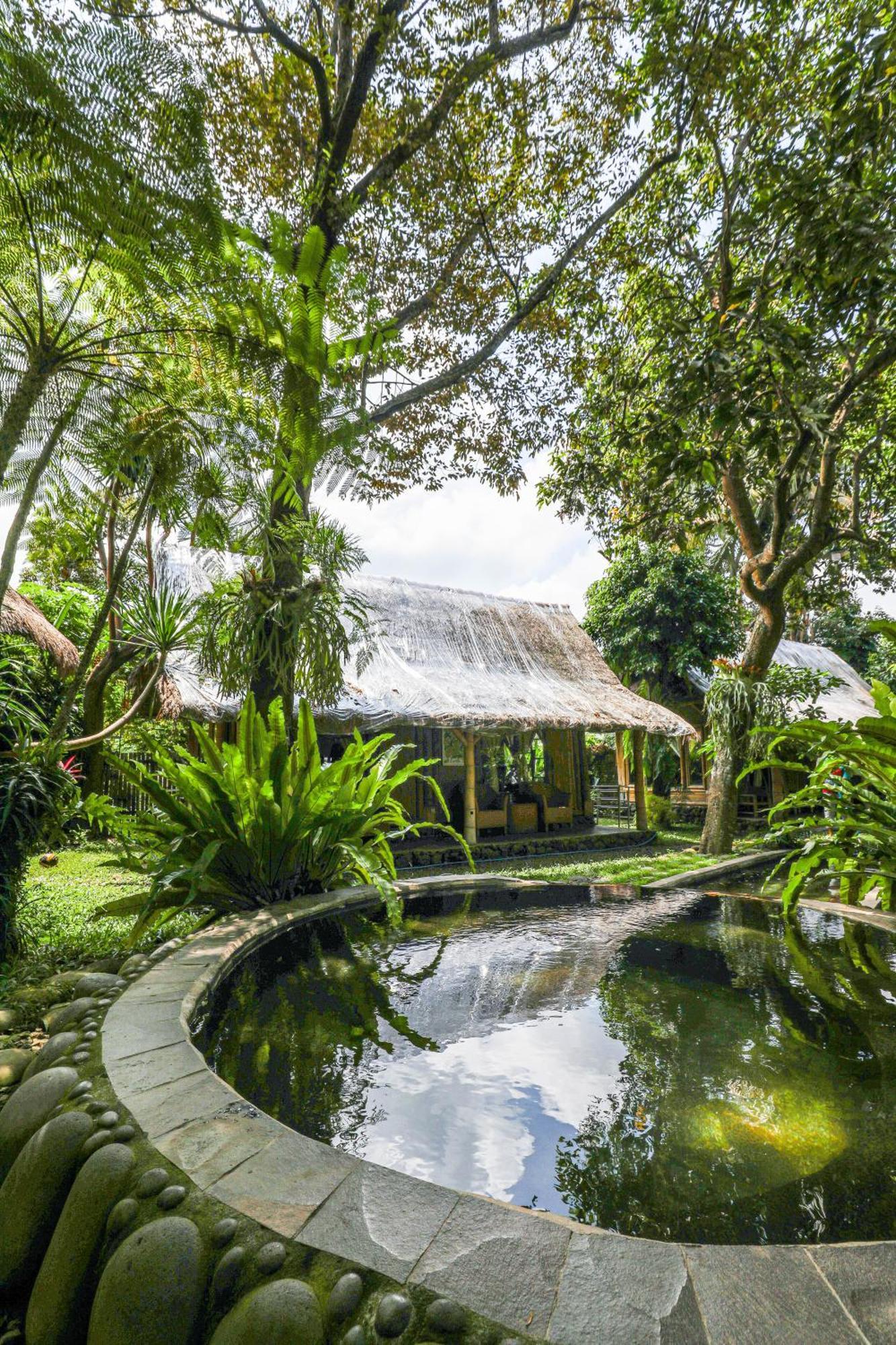 Hotel Omunity Bali à Singaraja Extérieur photo